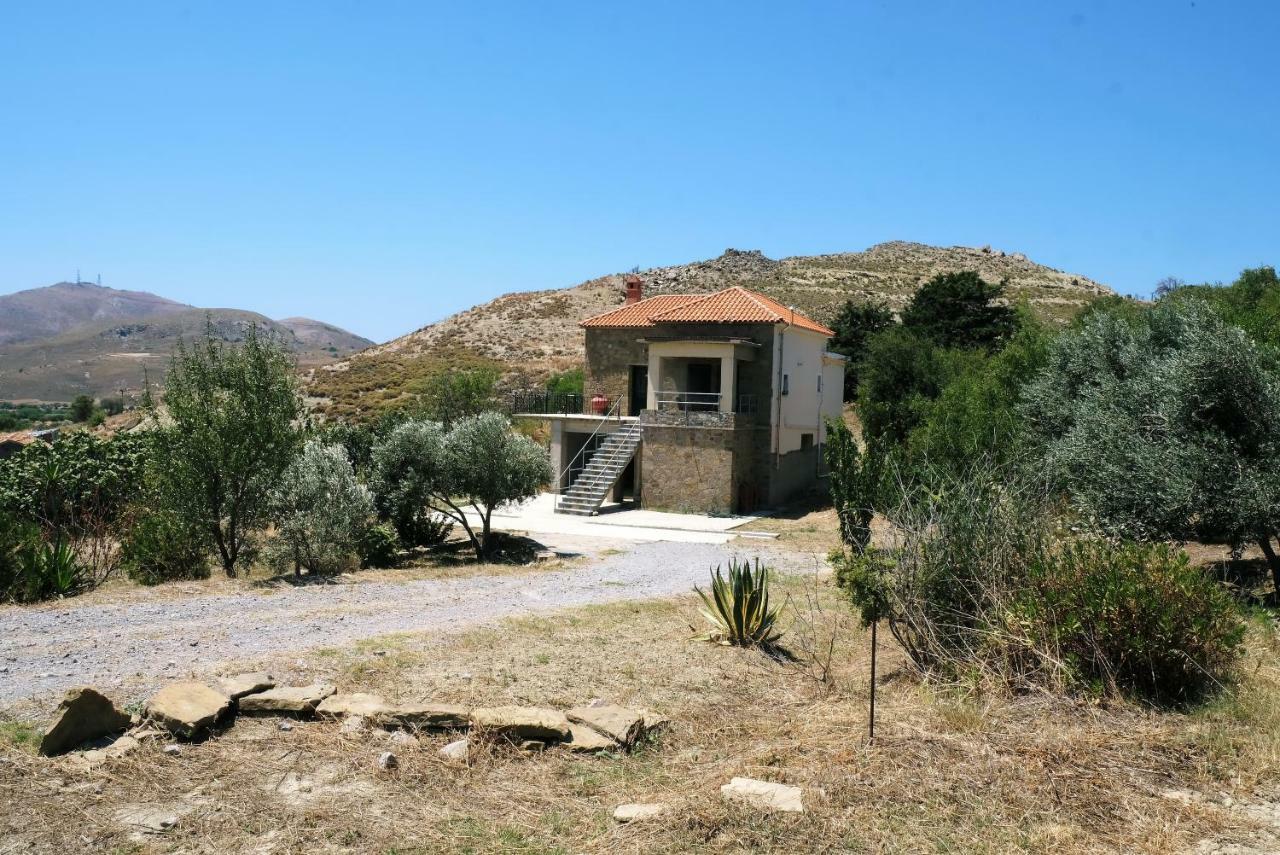 Stone House Of Panos Villa Kornos Exterior foto