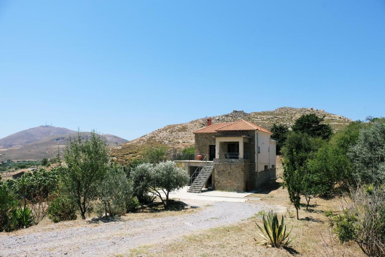 Stone House Of Panos Villa Kornos Exterior foto